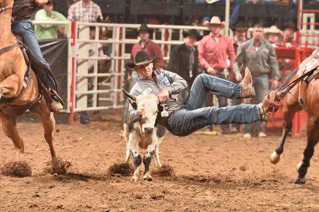 San Antonio Stock Show & Rodeo - FEBRUARY
